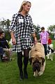 Dog show 3